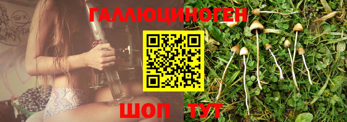 Псилоцибиновые грибы мицелий  Псилоцибиновые грибы мухоморы  Белореченск  Вход с VPN 